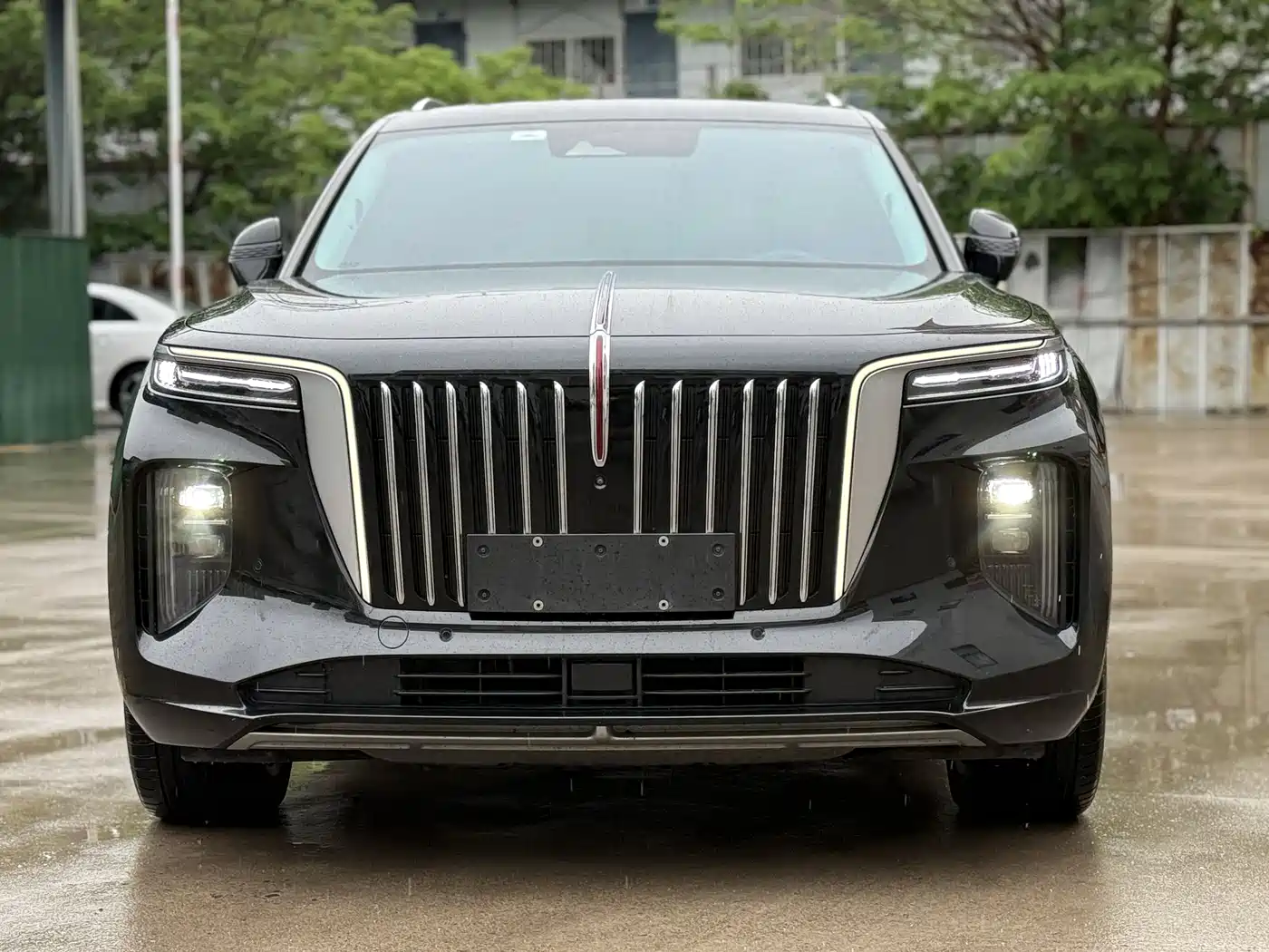 Hongqi E-HS9 2022 660km Qi Chang Edition (6-seater) фото 2