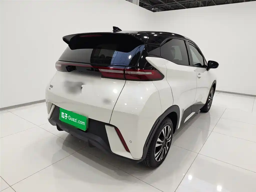 BYD Seagull 2024 Glory Edition 305km Vitality Edition фото 4