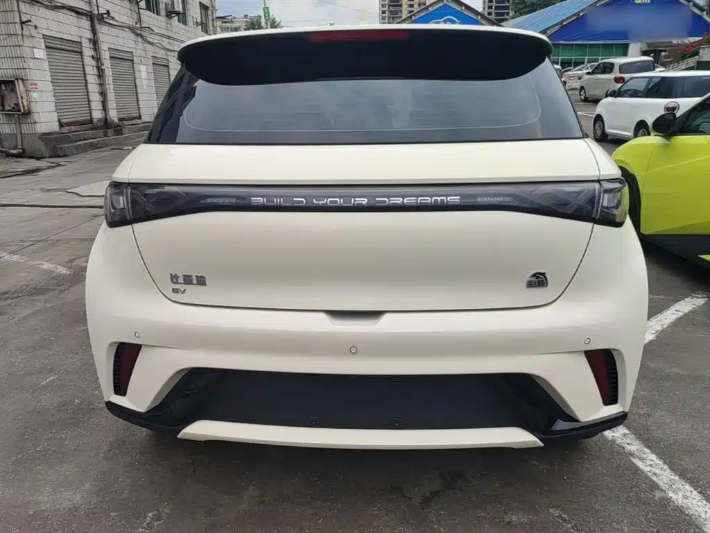 BYD Dolphin 2021 Model 405km Fashion Edition фото 6