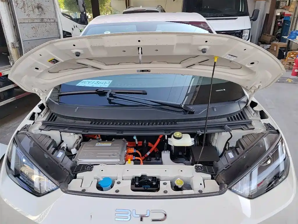 BYD Seagull 2025 Smart Drive Edition 305km Vitality Version фото 20
