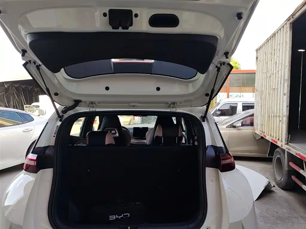 BYD Seagull 2025 Smart Drive Edition 305km Vitality Version фото 19