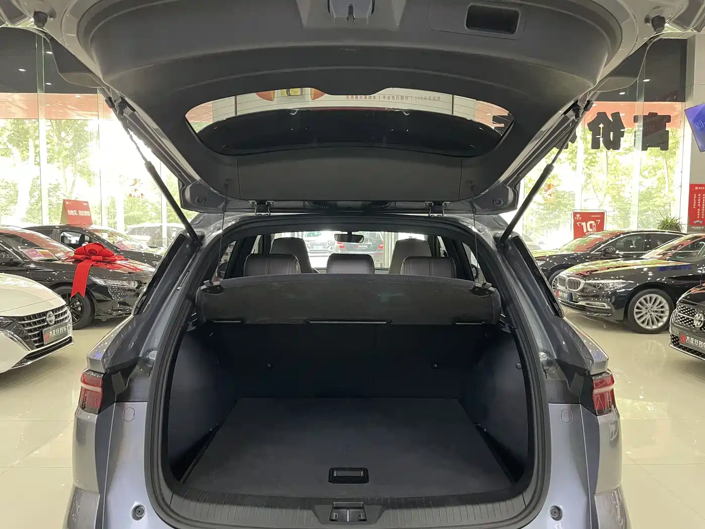 BYD Song Pro New Energy 2024 Glory Edition DM-i 71KM Pilot фото 12