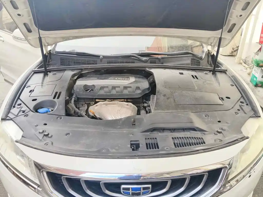 Geely Borui 2016 2016 2.4L Prestige Elegance Type