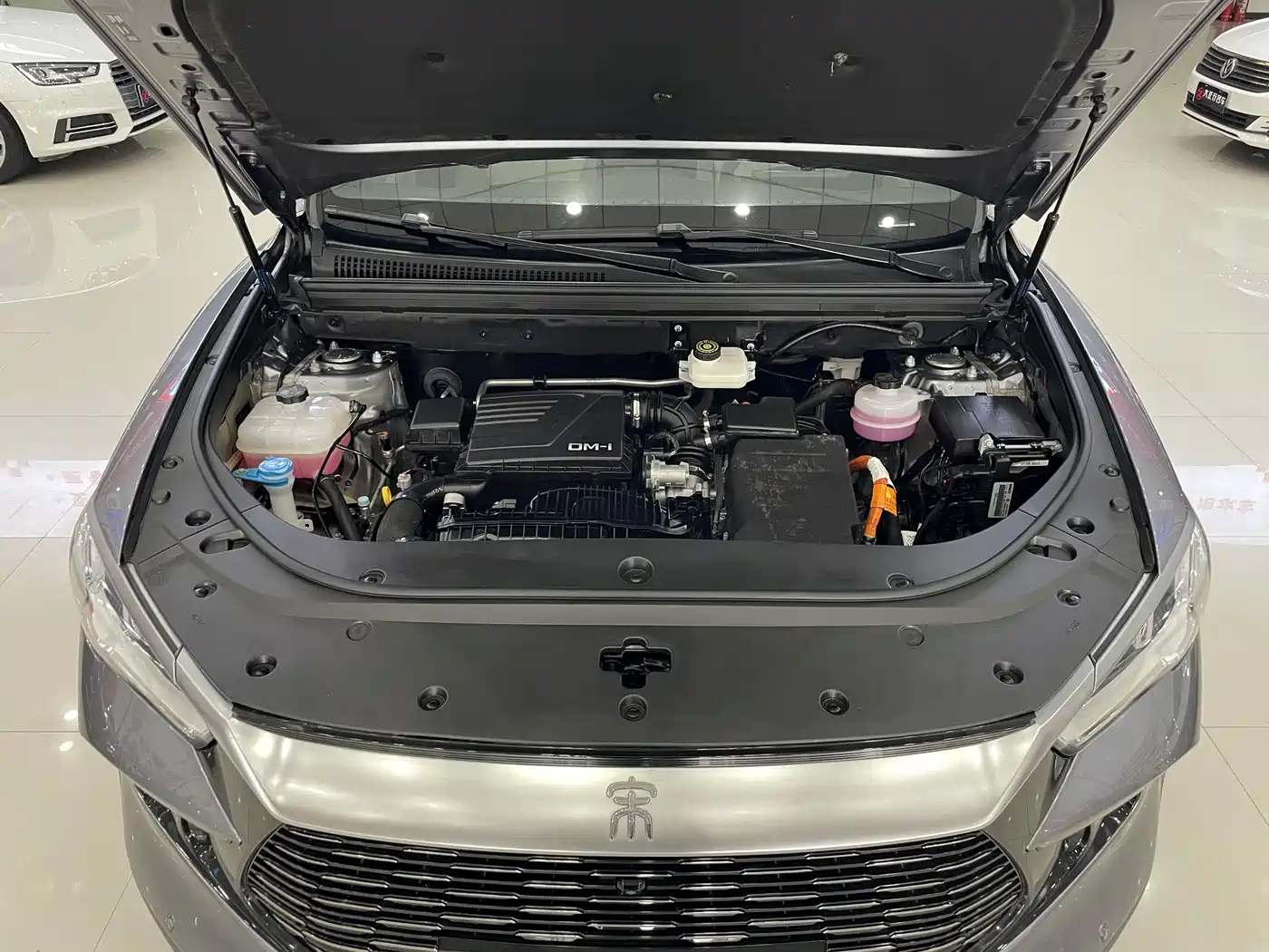 BYD Song Pro New Energy 2024 Glory Edition DM-i 71KM Pilot фото 11