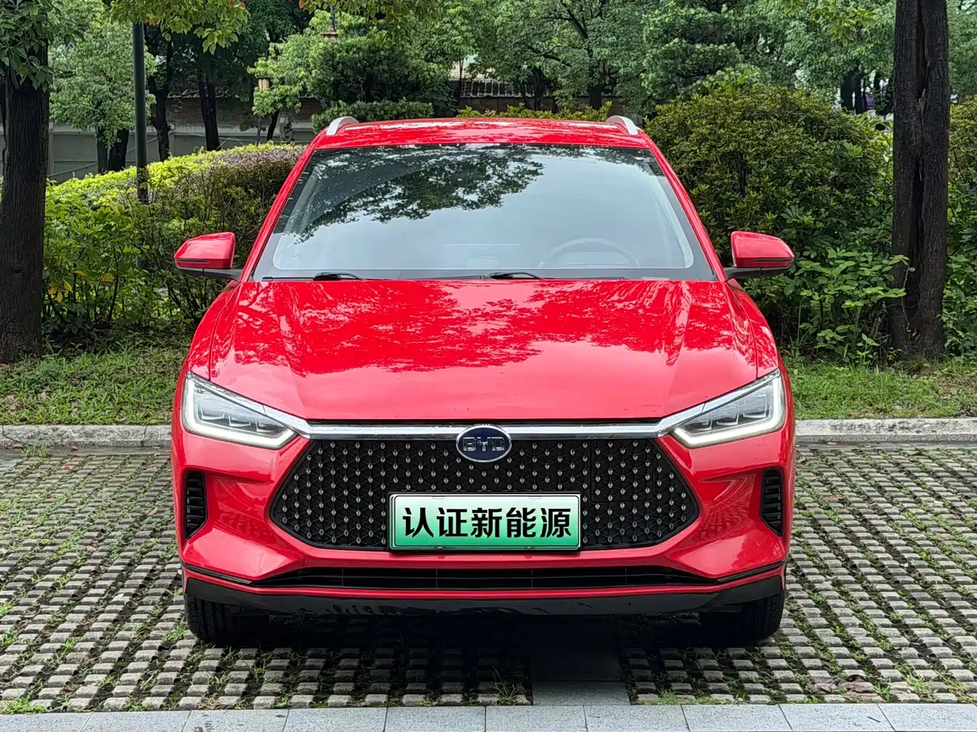 BYD e2 2021 2021 Luxury Edition