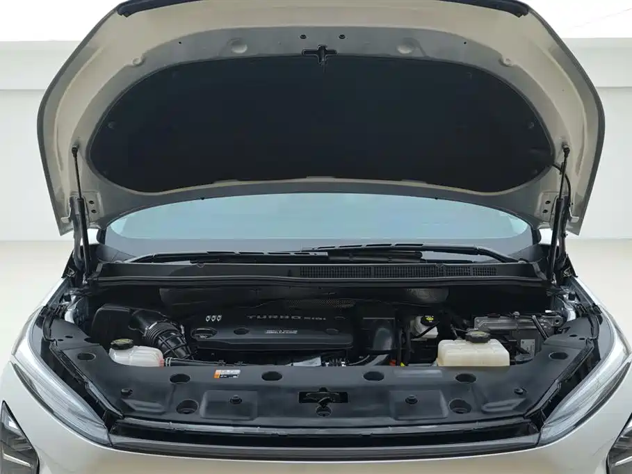 BUICK GL8 NEW ENERGY