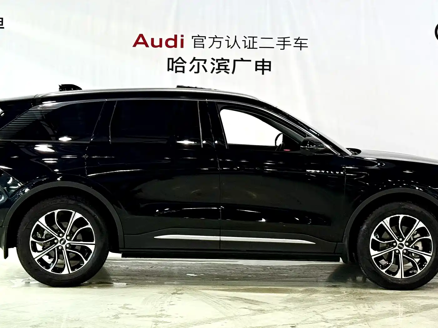 LINCOLN NAVIGATOR