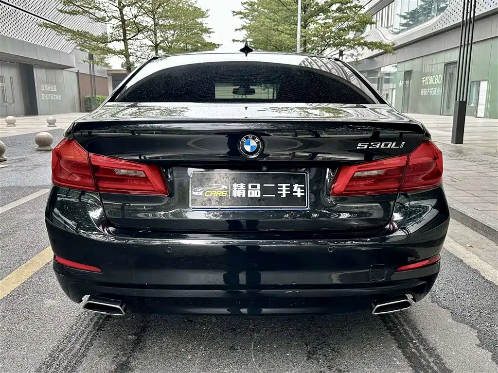 BMW 5 Series 2018 528Li Launch Special Edition фото 5