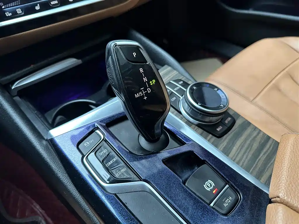 BMW 5 Series 2018 528Li Launch Special Edition фото 12