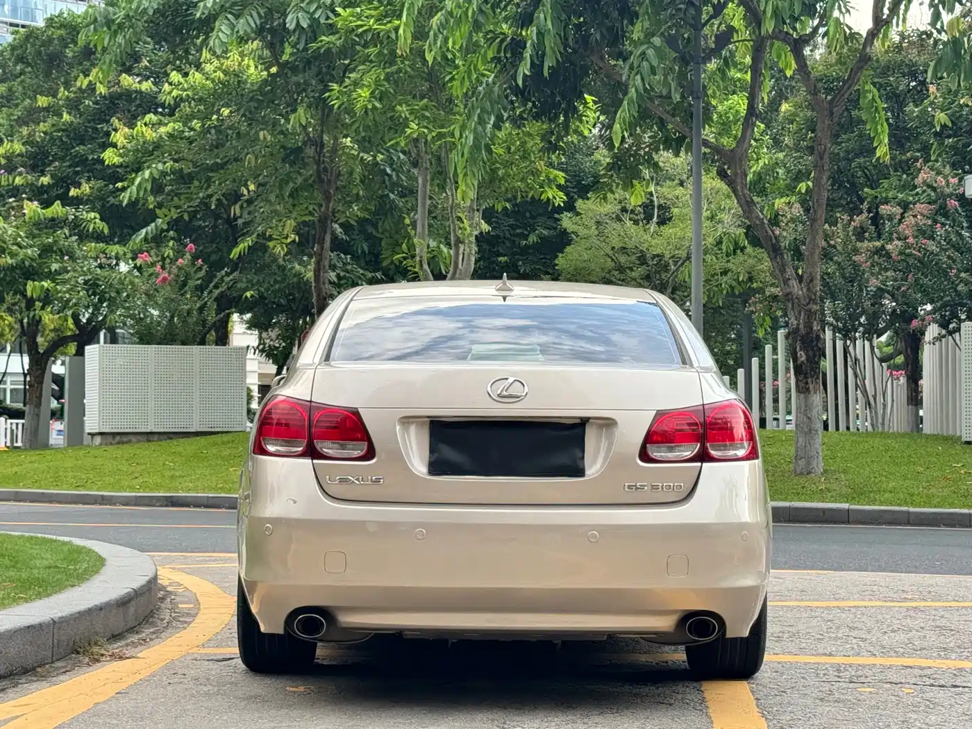 Фото 15 - Lexus GS