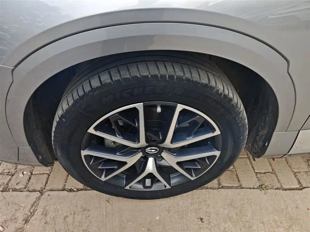 GAC Trumpchi Trumpchi GS8 2022 Hybrid Series 2.0TM 4WD Premium Edition (7-Seater) фото 23