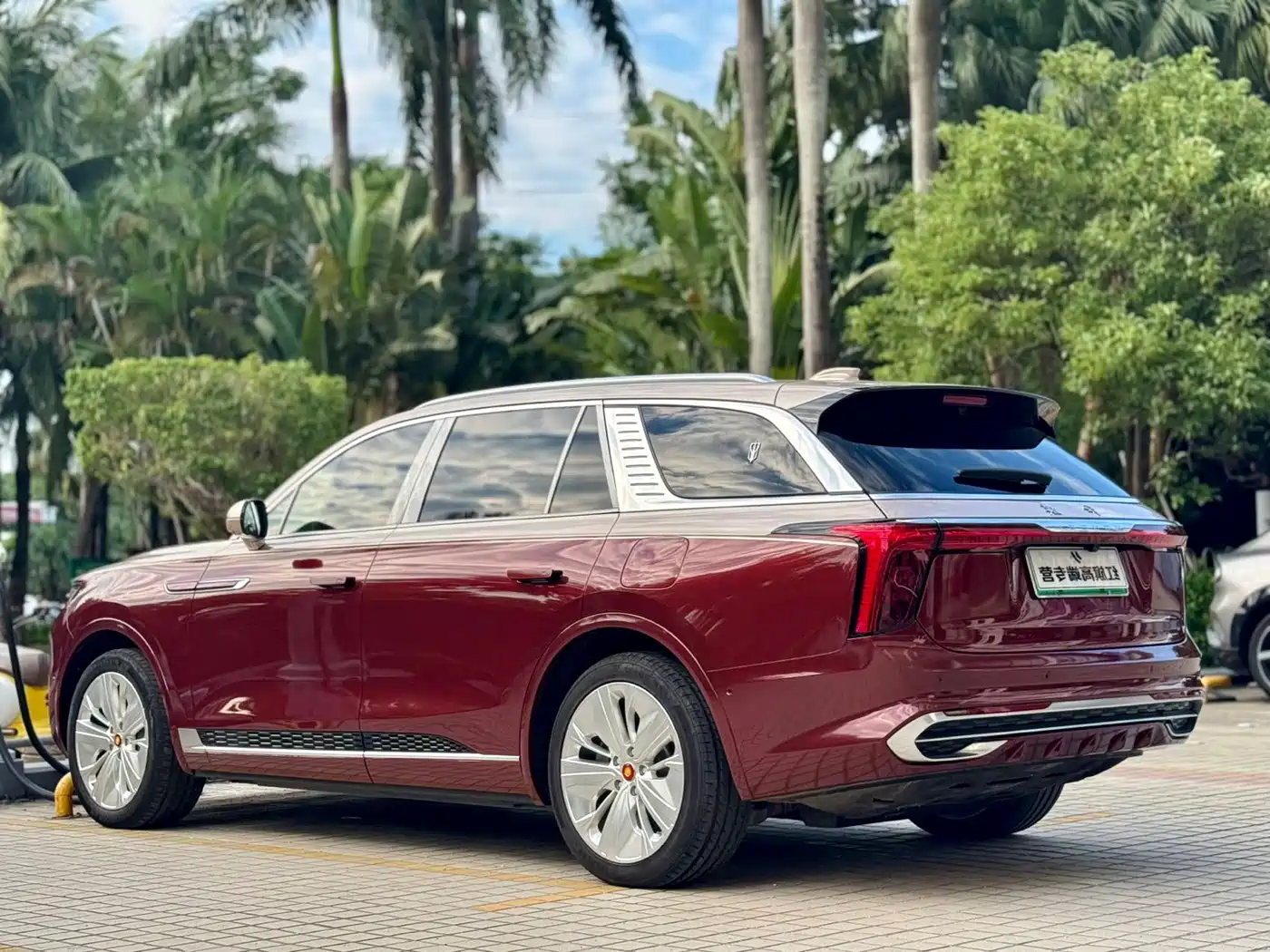 Hongqi E-HS9 2023 2022 660km Qi Chang Edition (6-seater)
