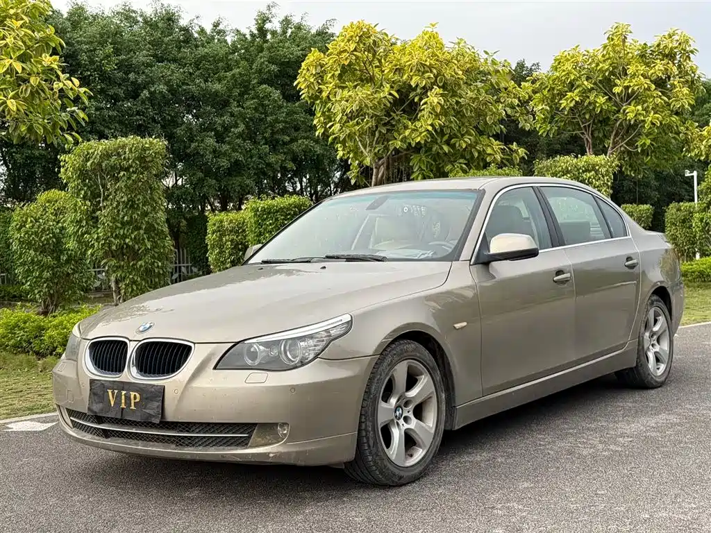 BMW 5 Series 2010 520Li Leading