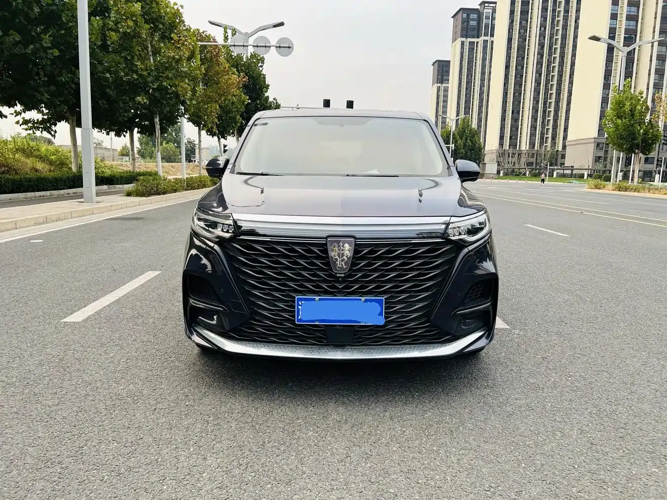 Roewe iMAX8 2022 2022 400TGI Honor Edition