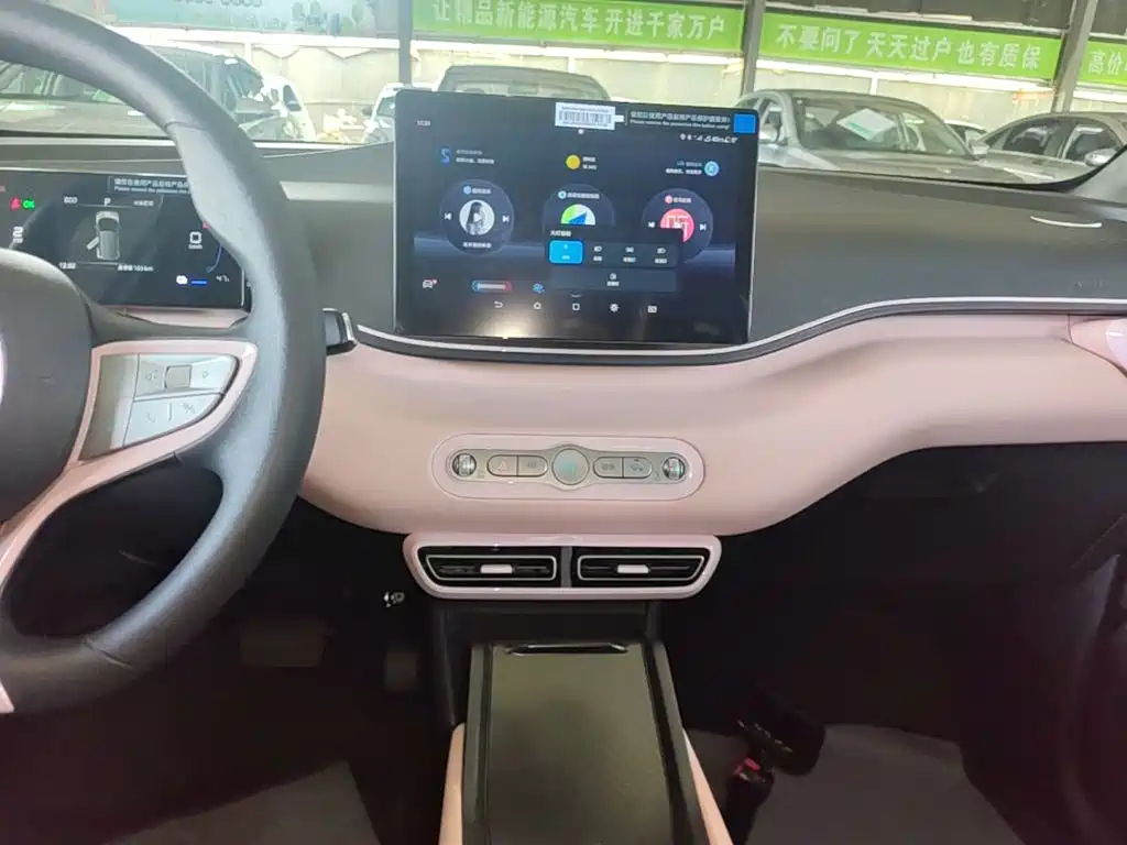 BYD Seagull 2026 2025 Smart Drive Edition 305km Vitality Version