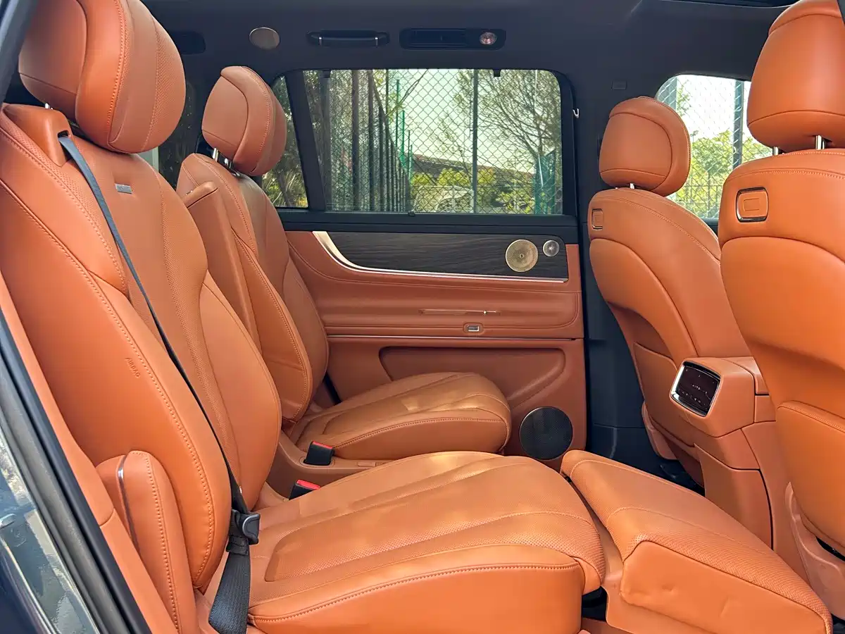 AITO Wenjie AITO M9 2024 Pure Electric Max Edition 100kWh 6-Seater фото 8