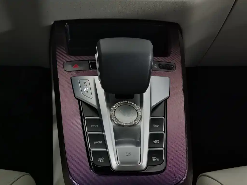 BYD Yuan Pro 2022 2021 401KM Premium Model