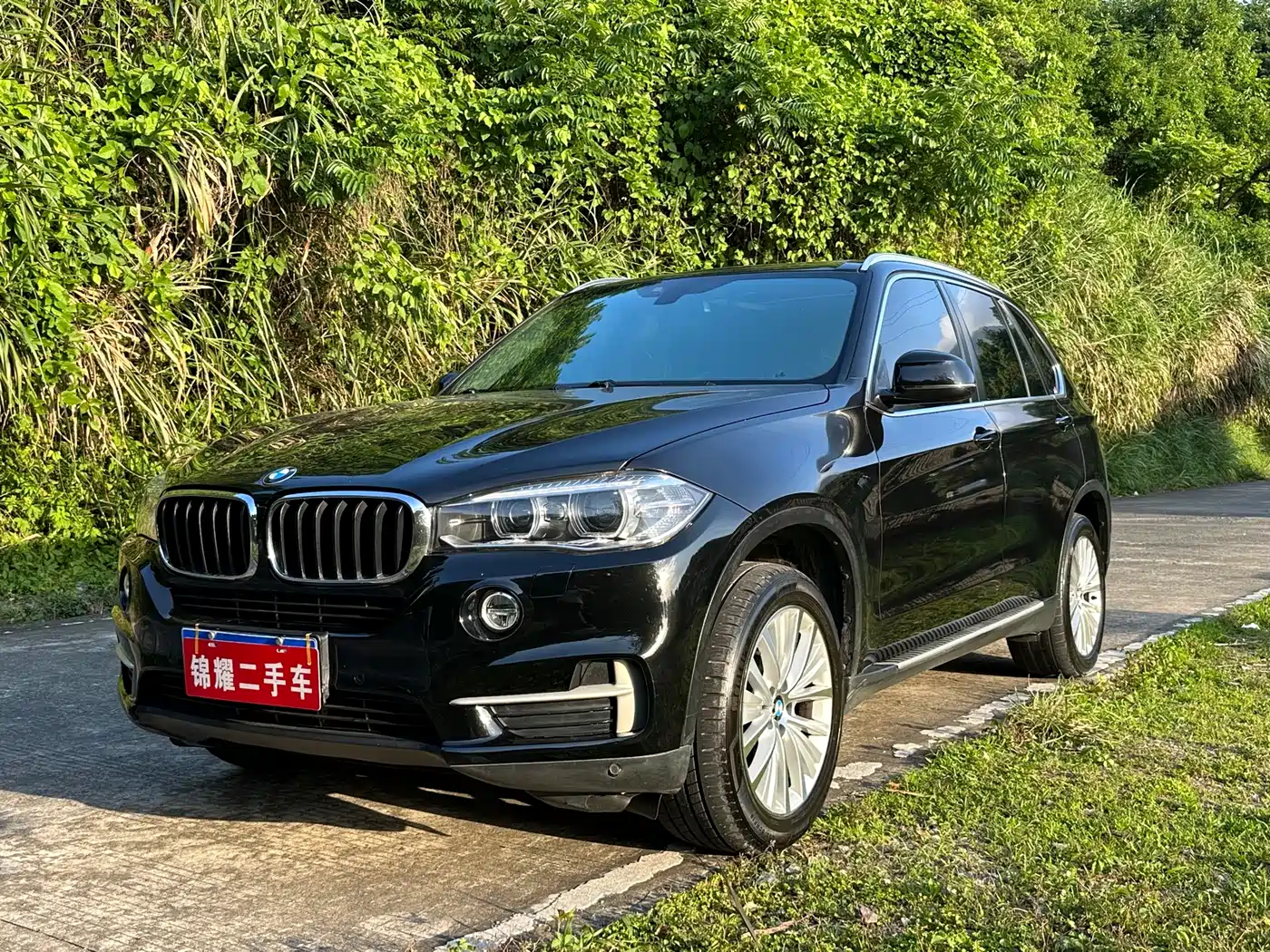 BMW X5 (Import) 2014 xDrive35i Leading фото 2