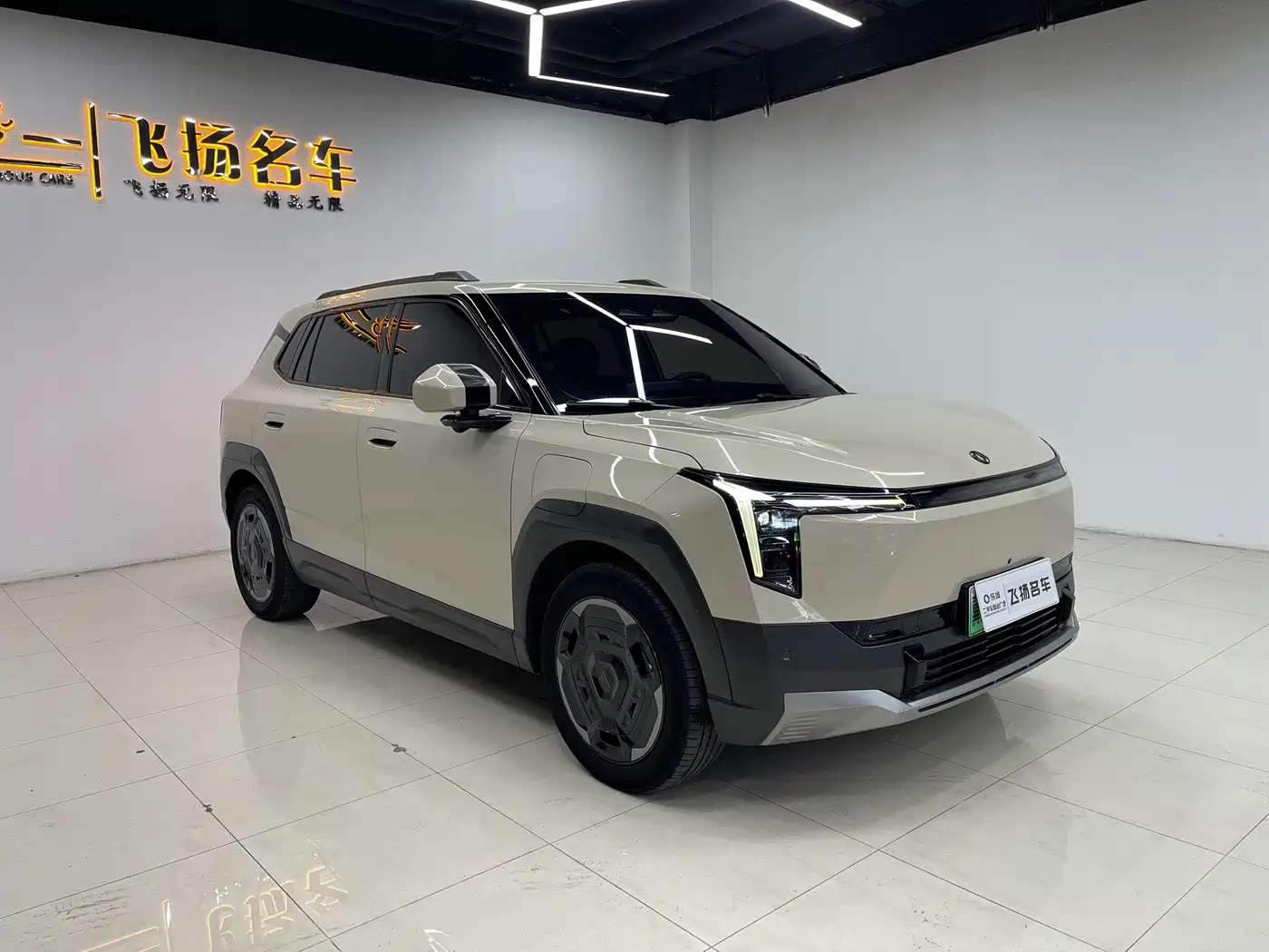 2025 Dongfeng Yipai Nano 06