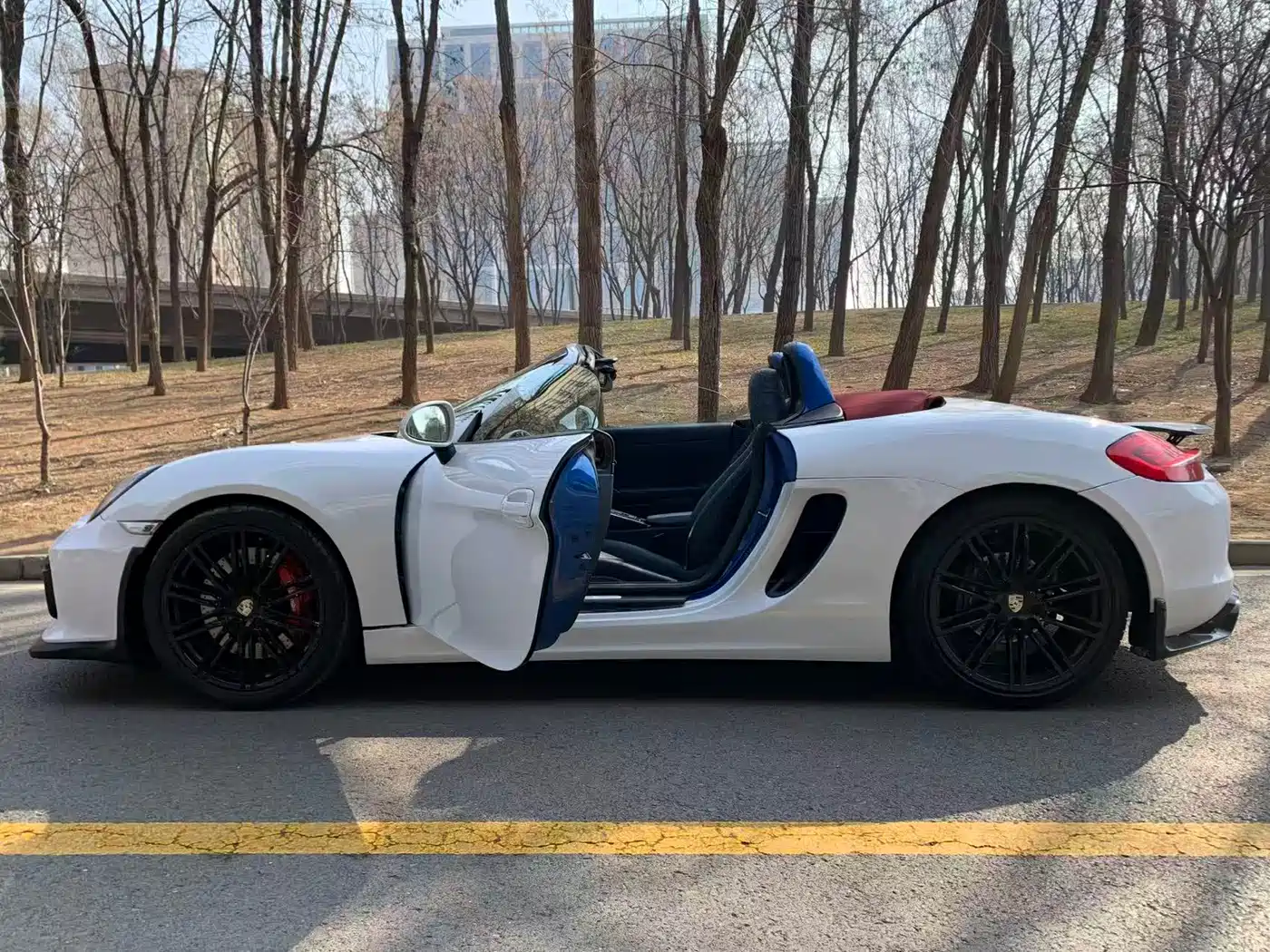Porsche Boxster 2015 Boxster Style Edition 2.7L фото 21
