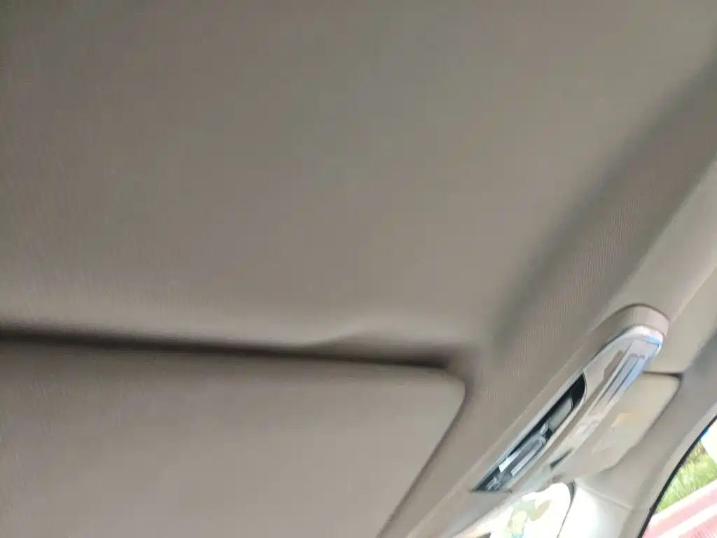 WEY VV5 2017 2017 2.0T Super Luxury Model