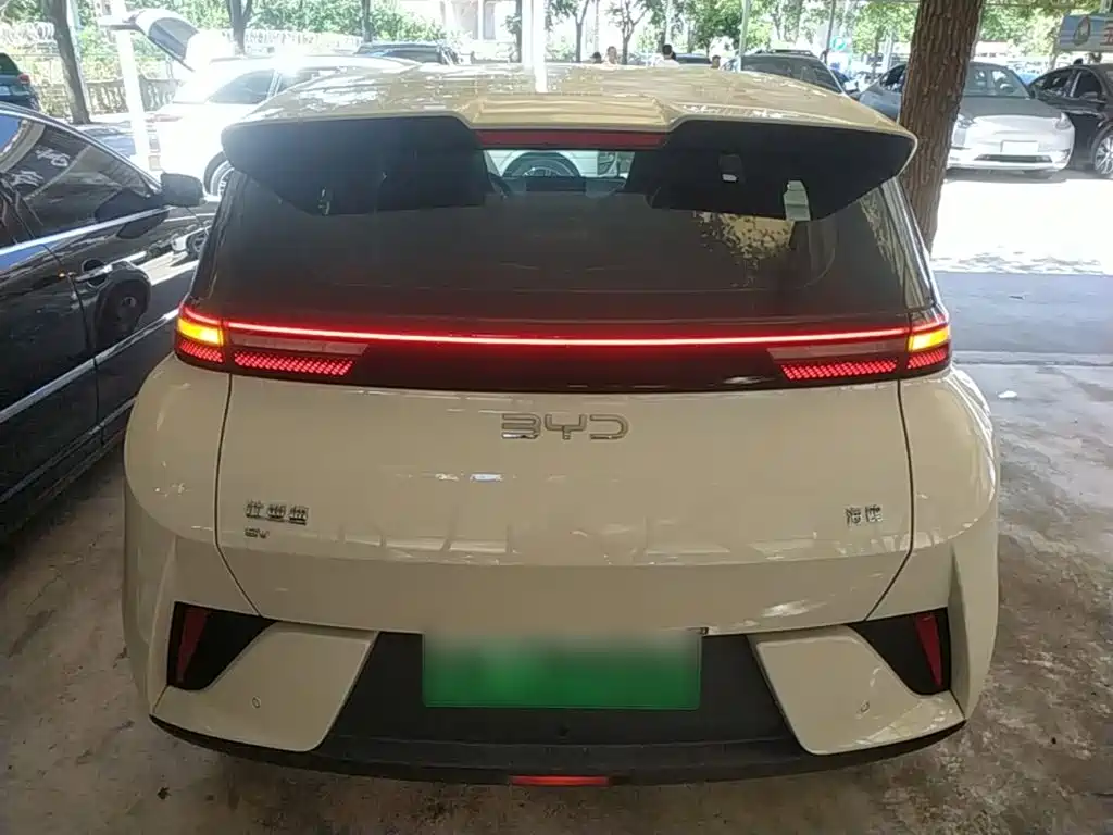 BYD Seagull 2026 2025 Smart Drive Edition 305km Vitality Version
