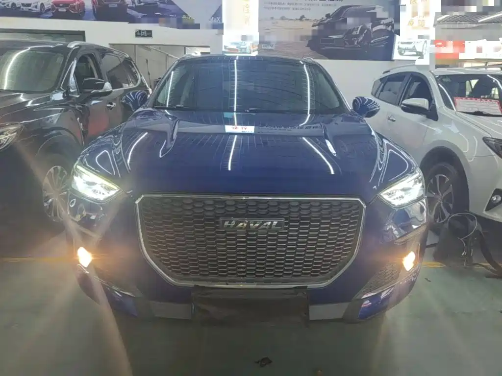 Haval F5 2019 2019 National Trend Edition 1.5T iTrend China VI