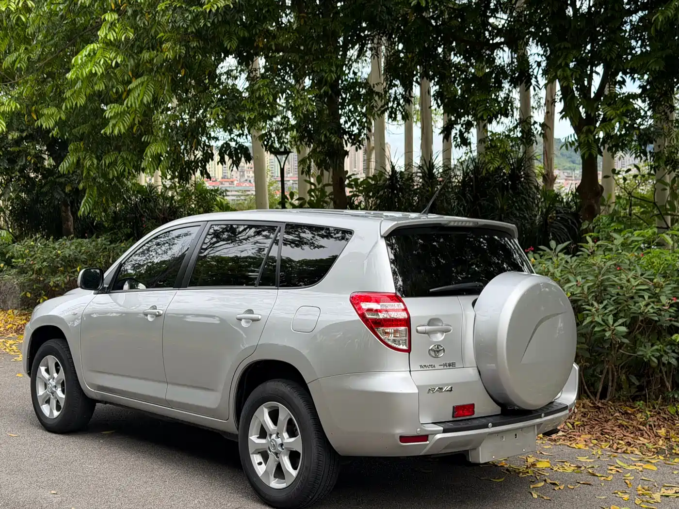 Toyota RAV4 Rongfang 2009 2.0L Automatic Luxury Edition фото 3