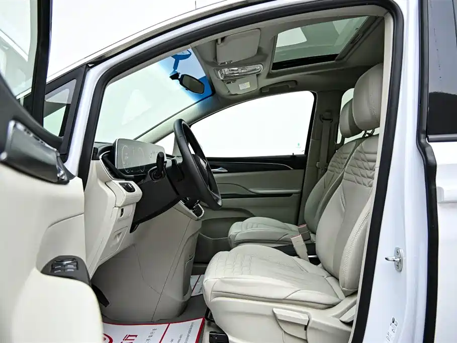 Buick GL8 2023 ES Landmaster Comfort фото 11