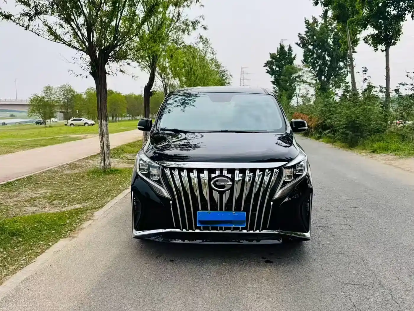 GAC Trumpchi Trumpchi M8 2021 Master Series 390T Prestige Edition фото 2