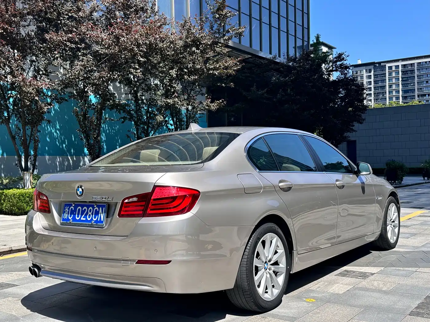 BMW 5 Series 2013 530Li Leadership фото 4