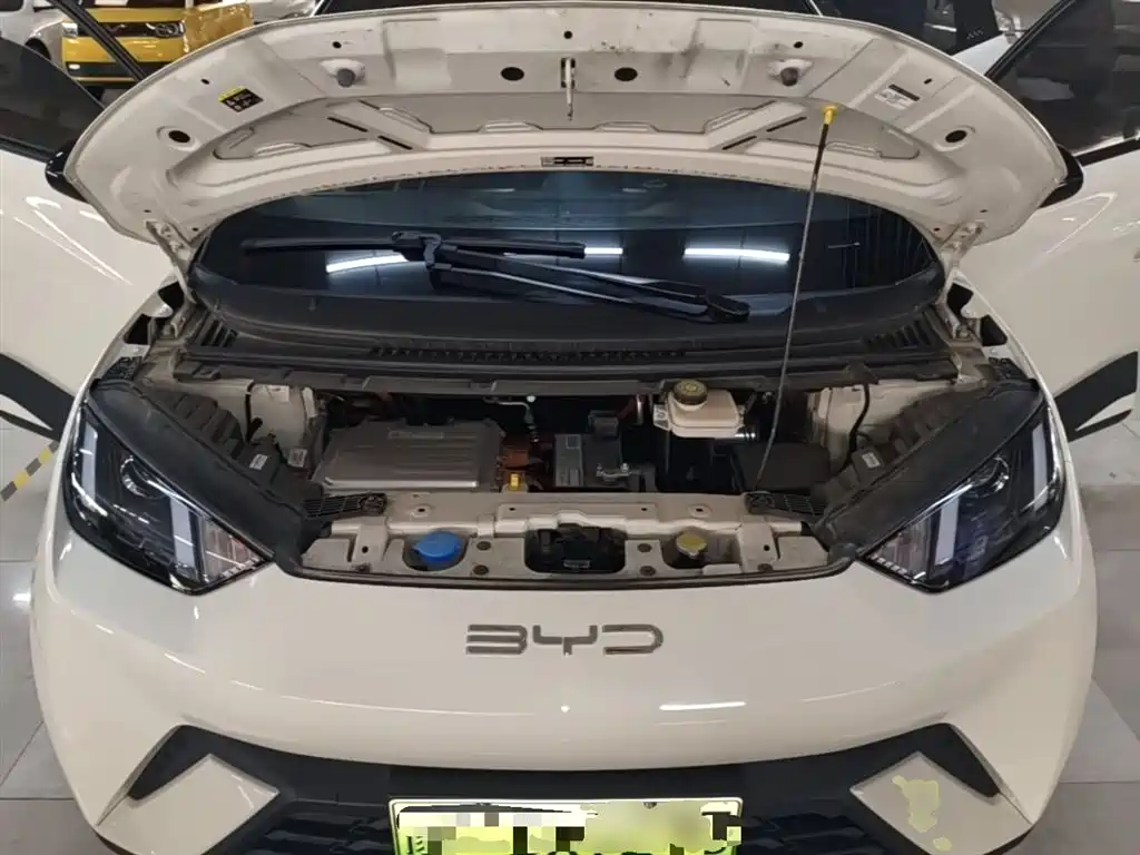 BYD Seagull 2023 Vitality Edition фото 20