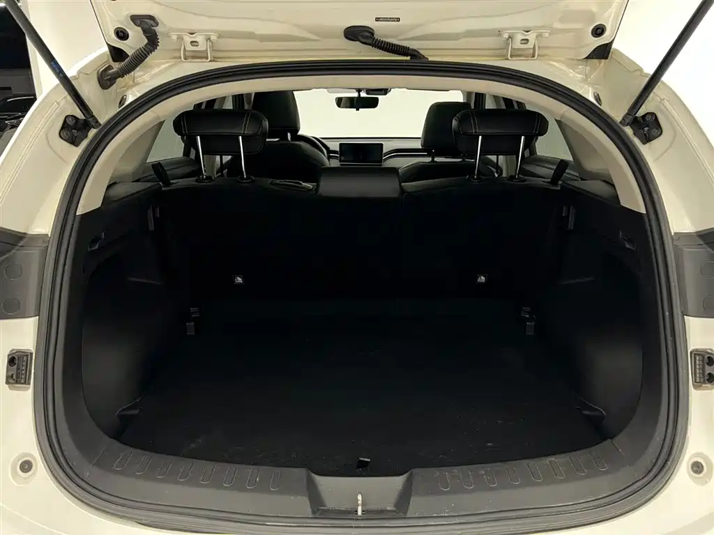 Haval Chitu 2022 Power Edition 1.5T Brass Rabbit фото 13