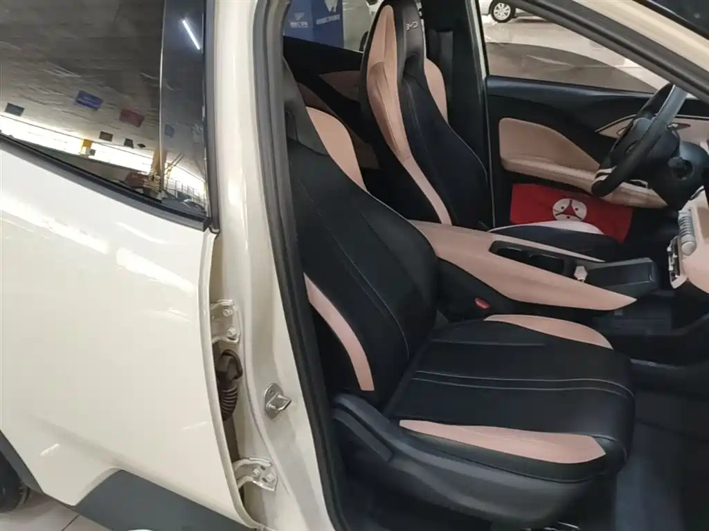 BYD Seagull 2023 Vitality Edition фото 25