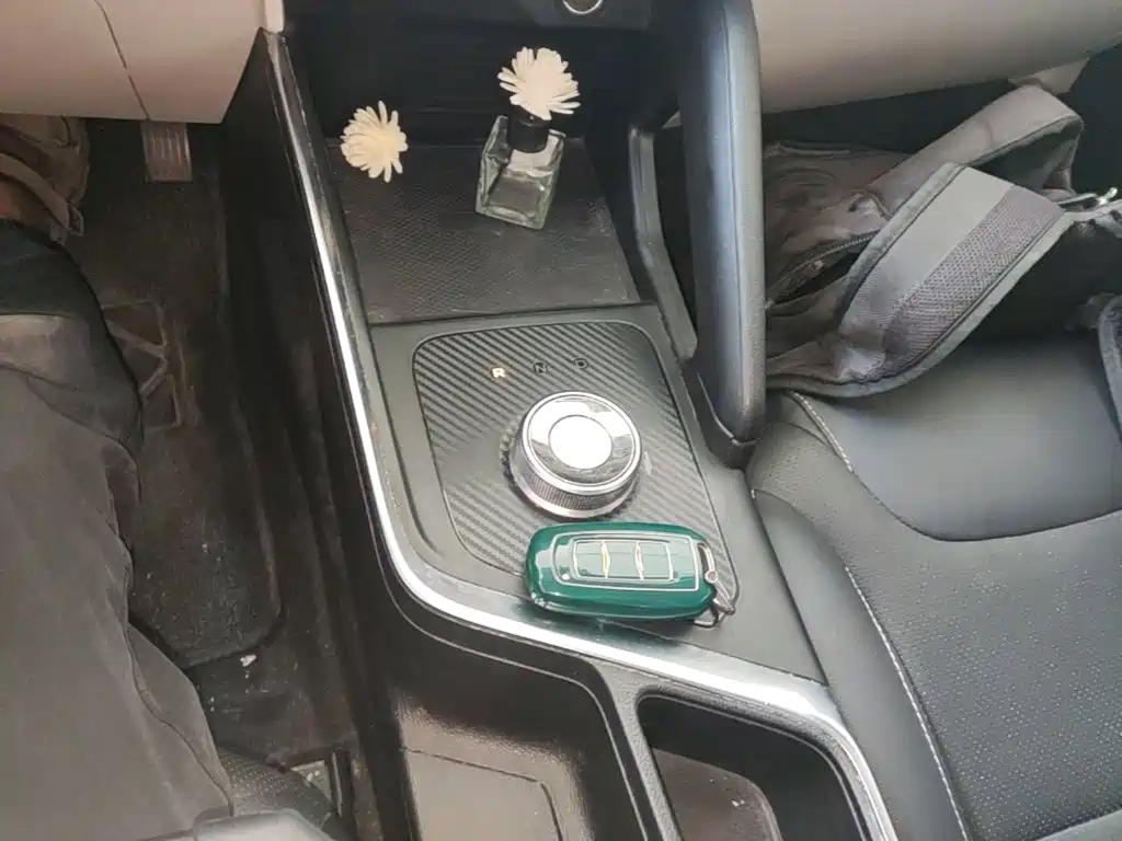 Geely Geometry EX3 Kung Fu Bull 2022 2021 Strong Bull