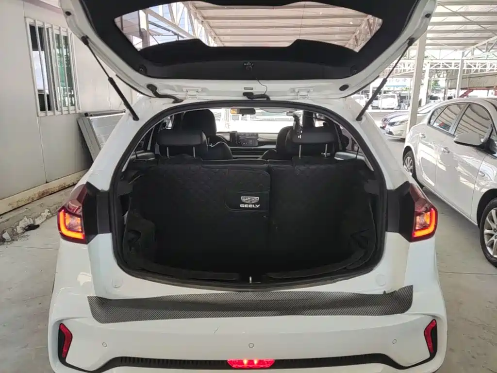 Geely Geometry EX3 Kung Fu Bull 2022 2021 Strong Bull