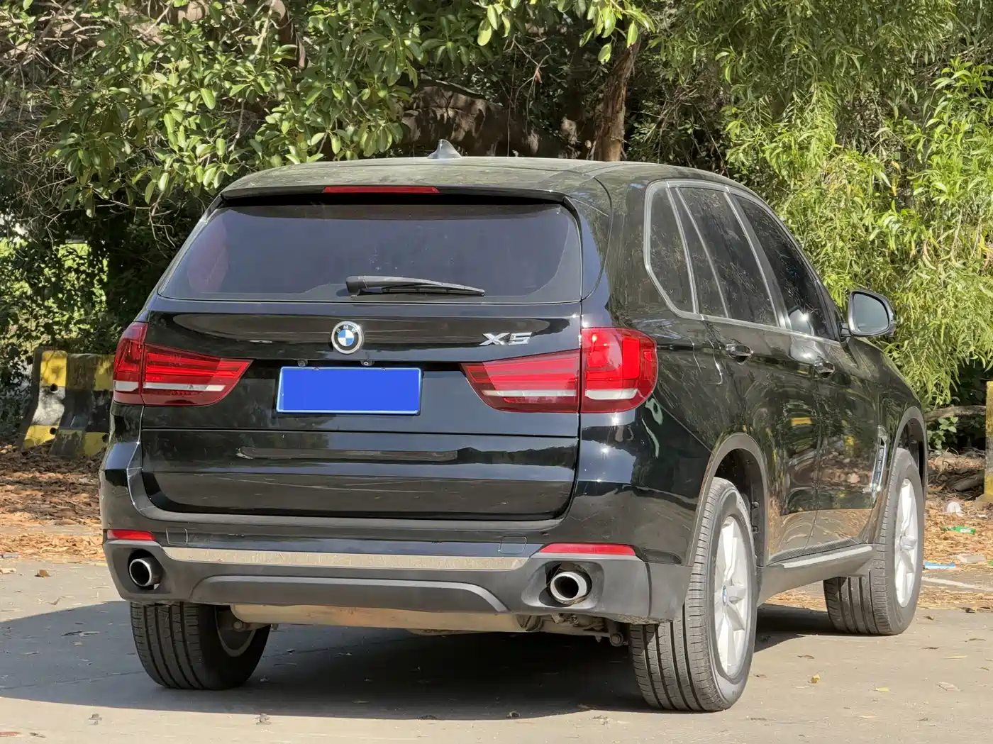 BMW X5 (Import) 2017 xDrive35i Leading Edition фото 11