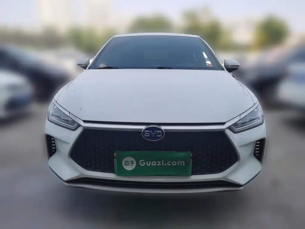 BYD e2 2021 2020 Upgrade Standard Range Standard Model