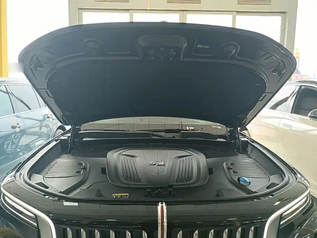 Hongqi E-HS9 2023 2022 690km Qi Xiang Edition (6-seater)