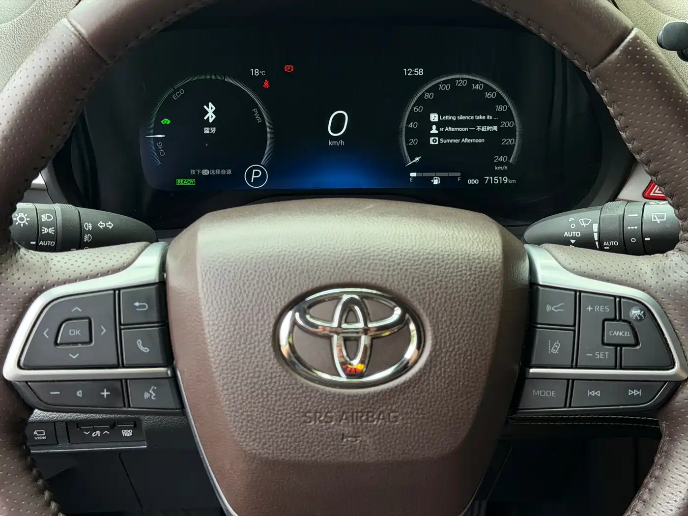 Toyota Sienna 2021 2.5L Hybrid Platinum Edition фото 16