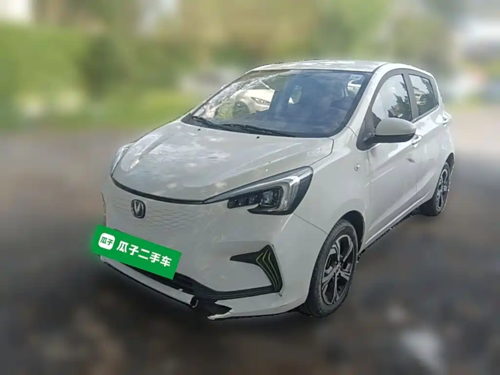 Changan Benben E-Star 2021 2020 Heartbeat Edition (NMC Battery)