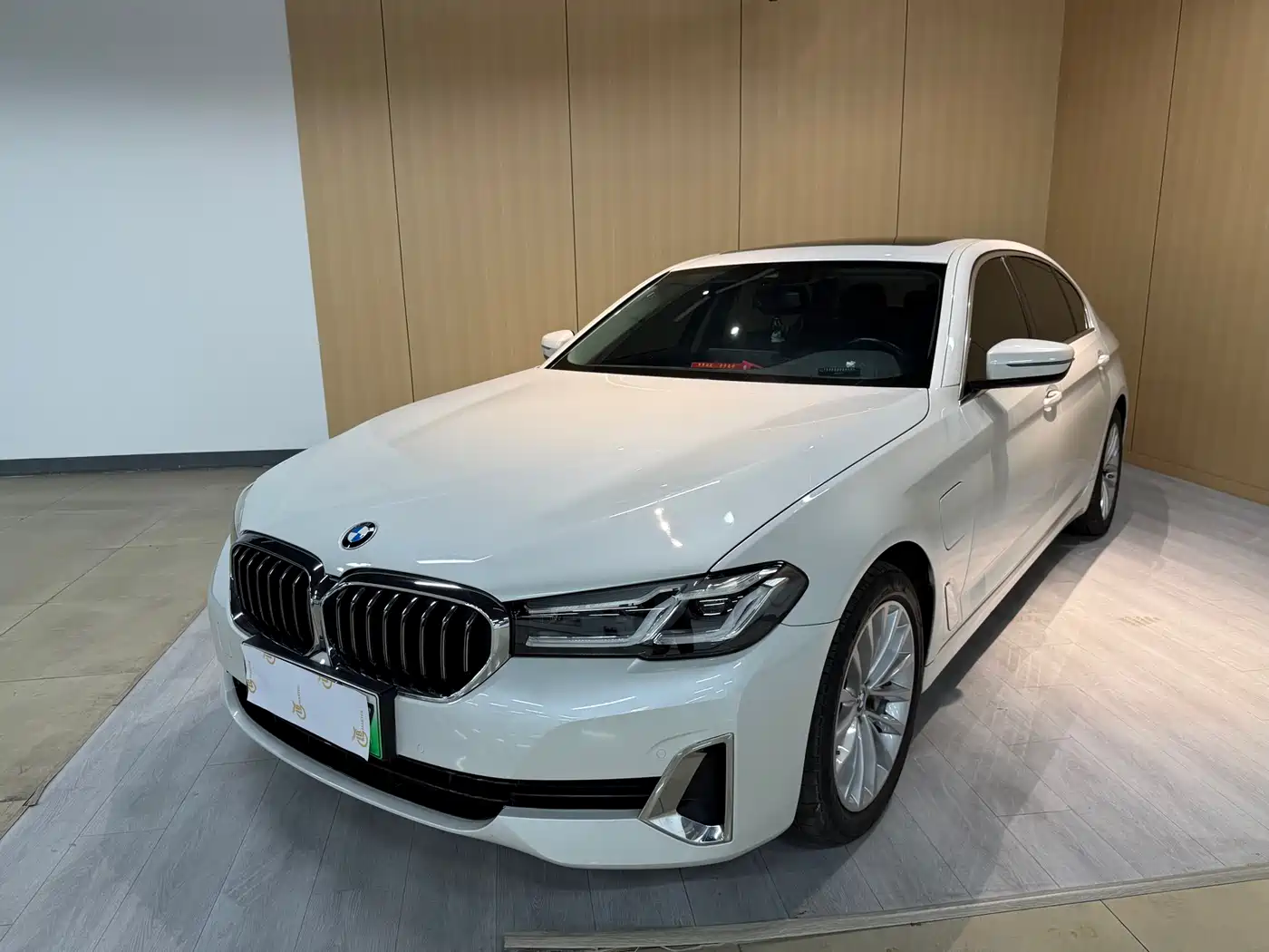 BMW 5 Series New Energy 2021 535Le Luxury Package