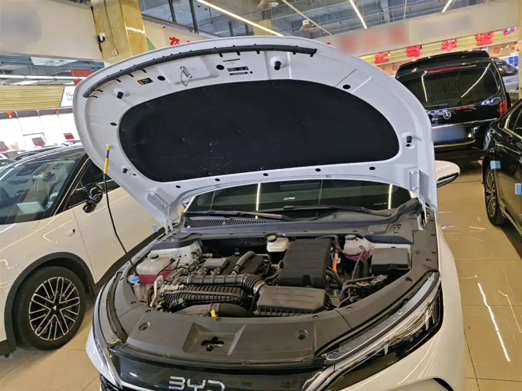 BYD Qin L 2024 DM-i 120KM Superior Edition фото 20