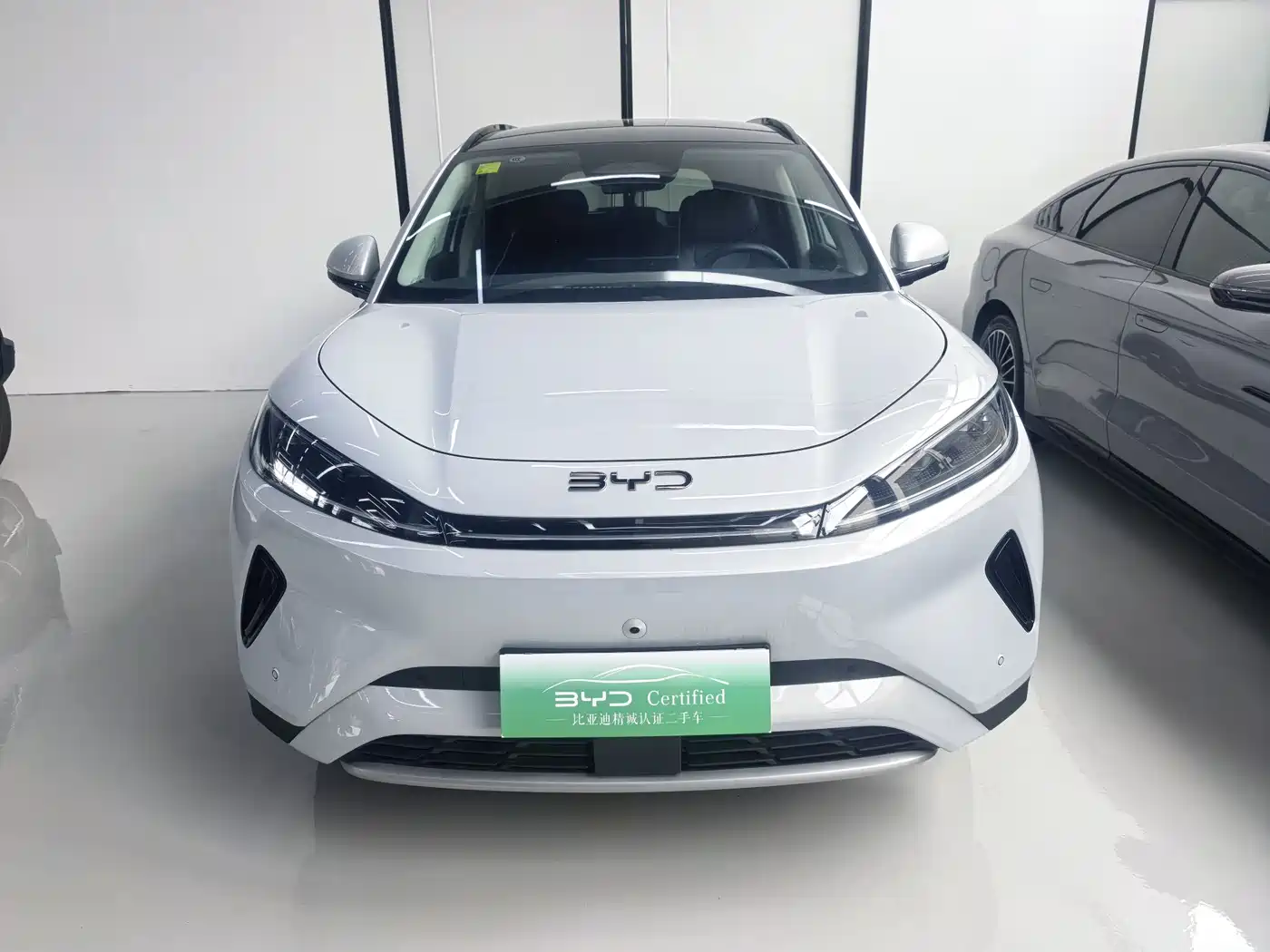 BYD Hai Shi 05 EV 2025 520KM Flagship Smart Navigation Edition фото 2