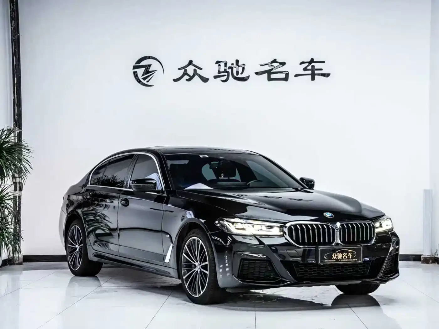 BMW 5 SERIES