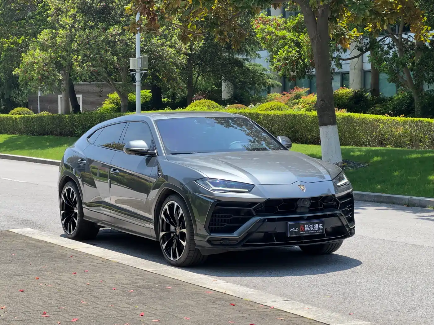 Lamborghini Urus 2018 4.0T V8 фото 3
