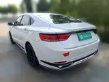 Фото 25 - Geely Borui