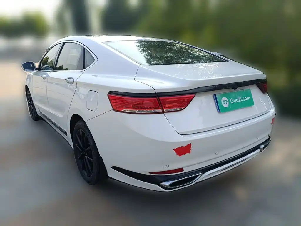 Фото 25 - Geely Borui