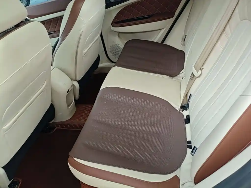 Ora Good Cat 2023 2023 401km Standard Range Luxury LFP