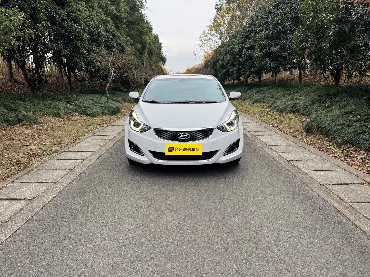Hyundai Langdong 2017 2016 1.6L Automatic Premium Edition